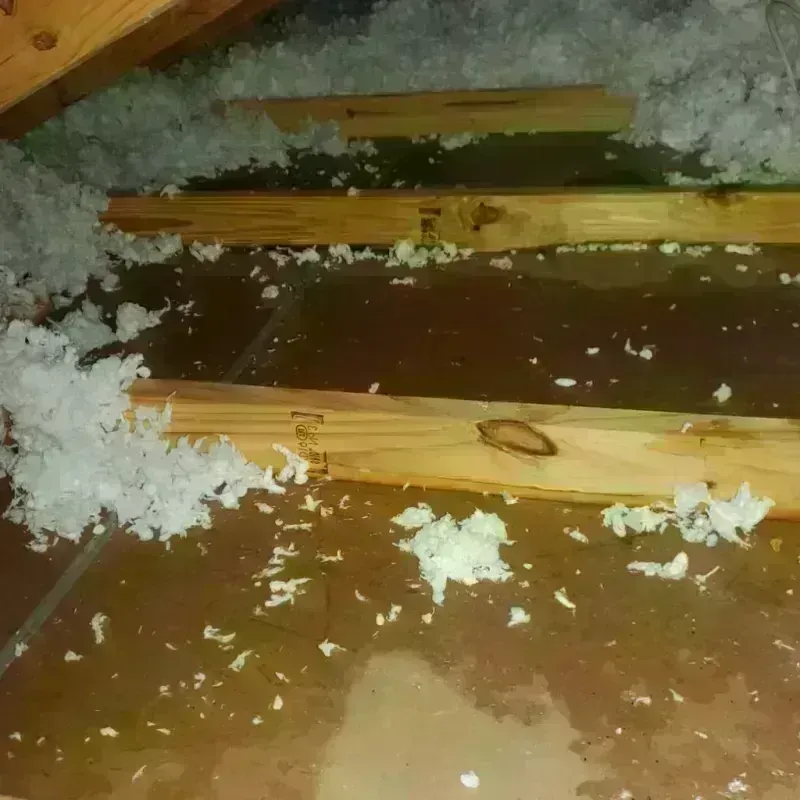 Attic Water Damage in Homer, AK