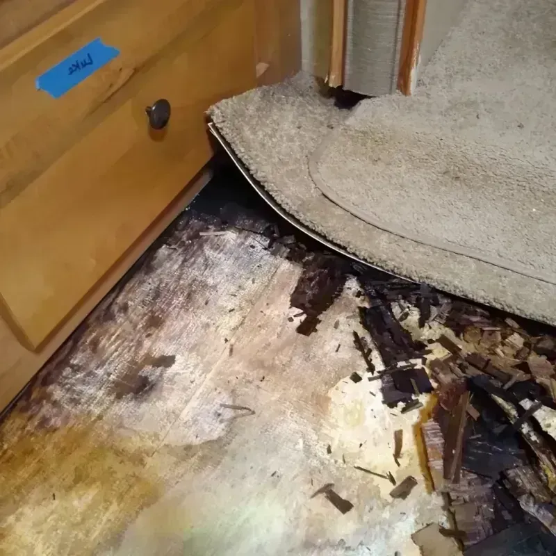 Wood Floor Water Damage in Homer, AK